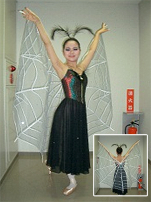 真夏の夜の夢（くもの巣）の衣装